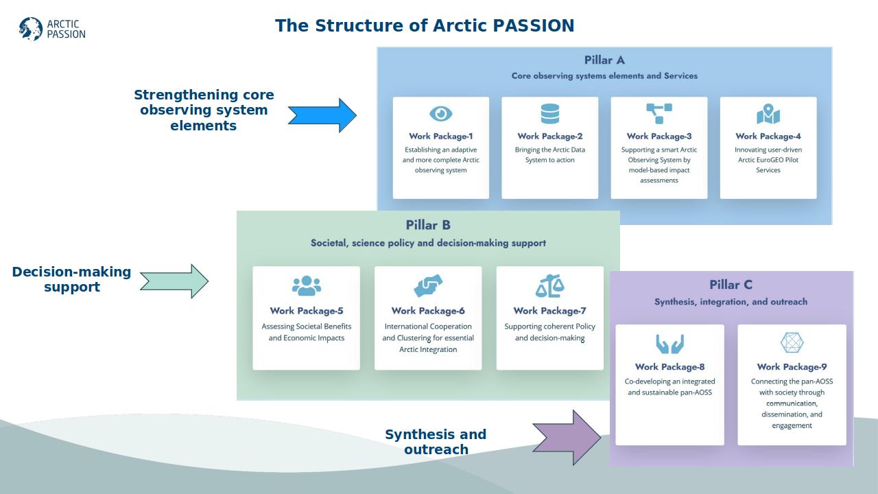 Arctic PASSION structure